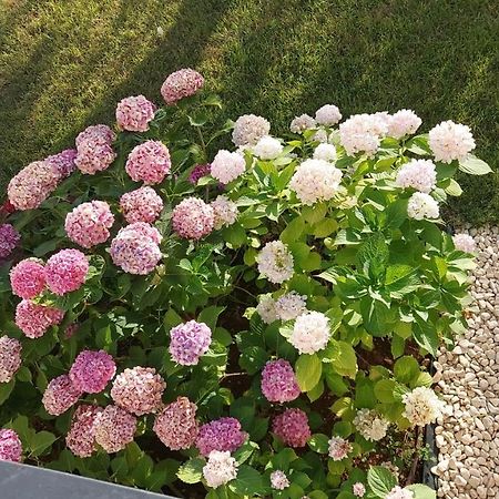 La Casa Di Francesca B&B Con Parcheggio Privato Porto Cesareo Eksteriør bilde