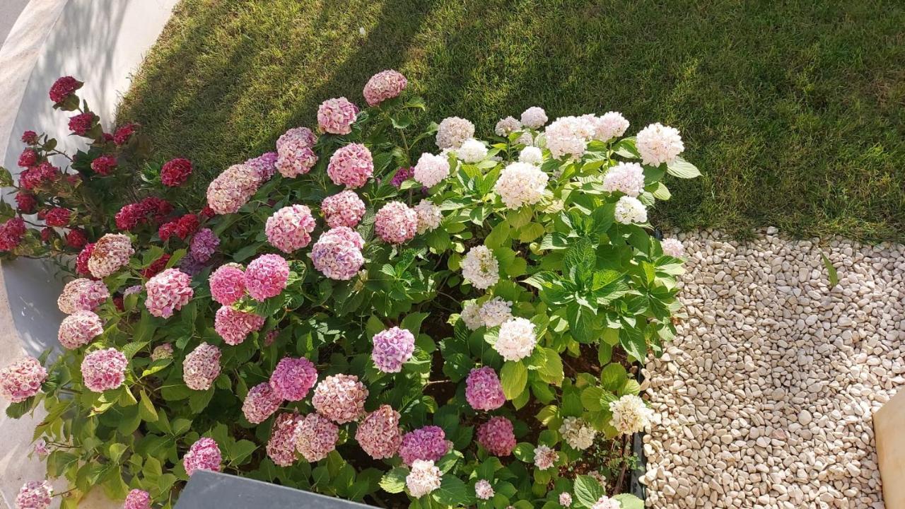 La Casa Di Francesca B&B Con Parcheggio Privato Porto Cesareo Eksteriør bilde